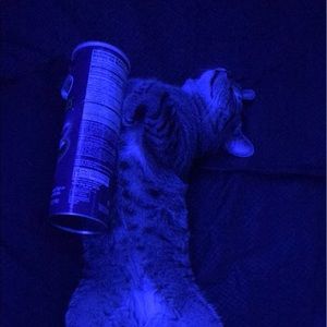 Meet your Posher, Jacob